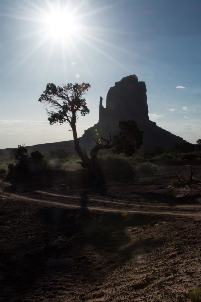 Dirt road west mitten butte