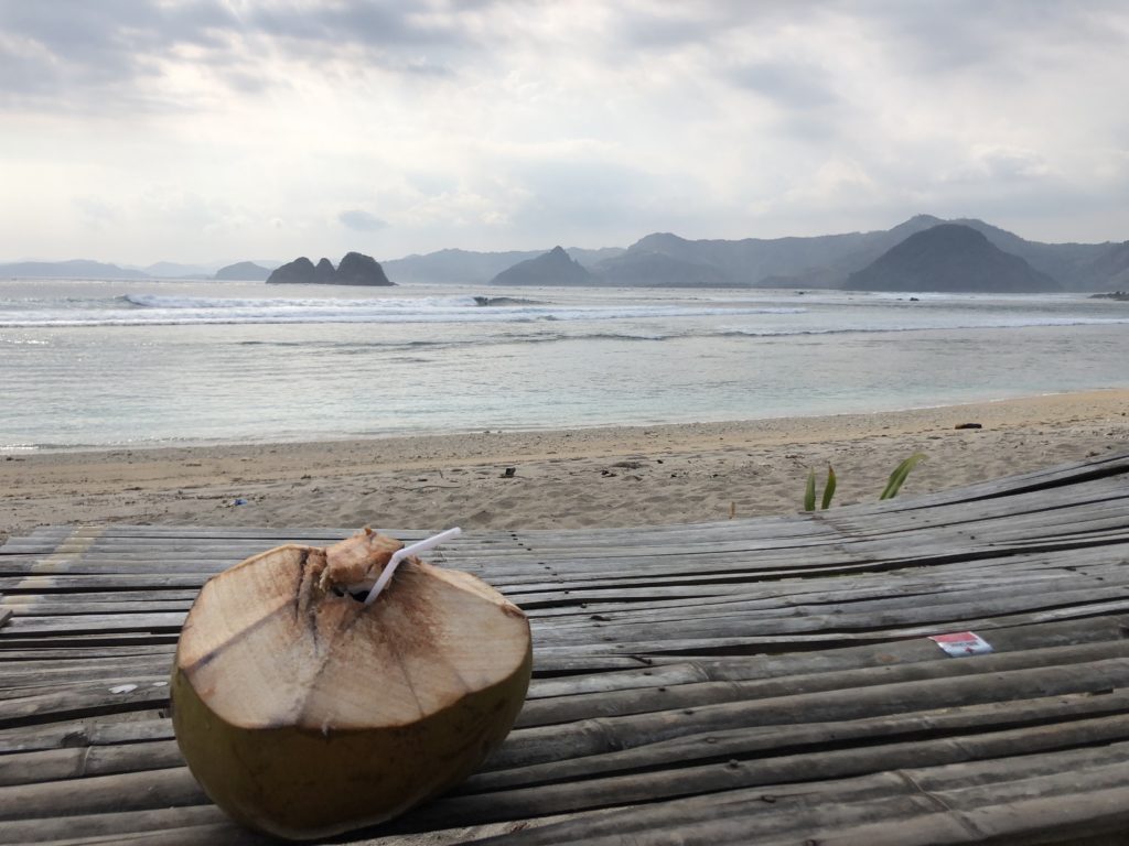 coconut on beach