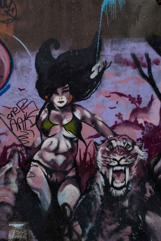 Tiger woman mural