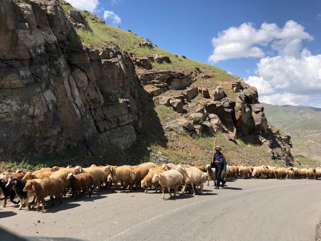 Iranian country roads